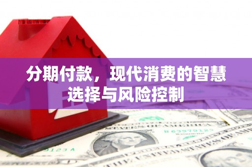 岳麓分期付款，现代消费的智慧选择与风险控制
