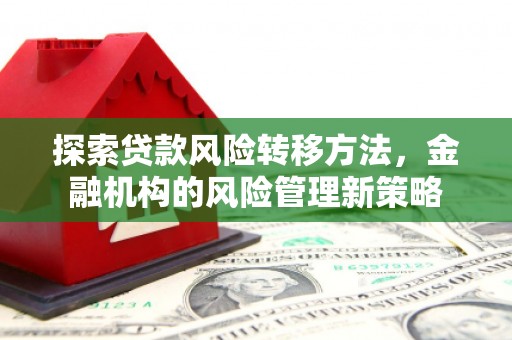 岳麓探索贷款风险转移方法，金融机构的风险管理新策略