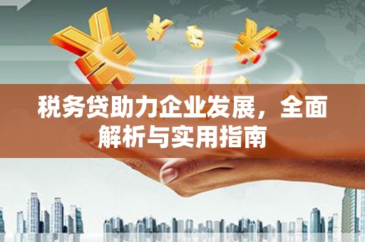 岳麓税务贷助力企业发展，全面解析与实用指南