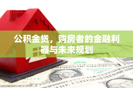 岳麓公积金贷，购房者的金融利器与未来规划