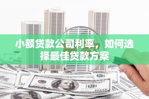 岳麓小额贷款公司利率，如何选择最佳贷款方案