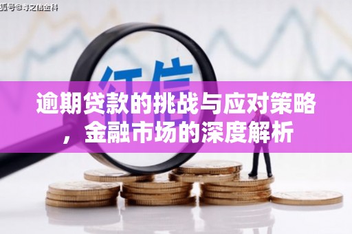 岳麓逾期贷款的挑战与应对策略，金融市场的深度解析