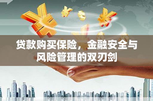 岳麓贷款购买保险，金融安全与风险管理的双刃剑