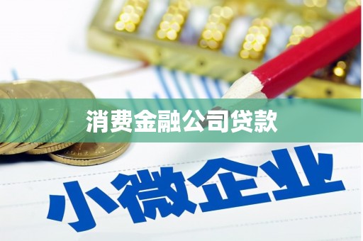 岳麓消费金融公司贷款