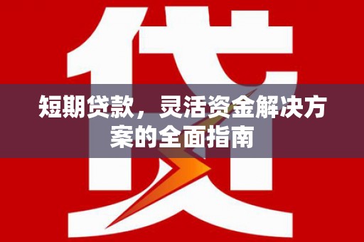 岳麓短期贷款，灵活资金解决方案的全面指南