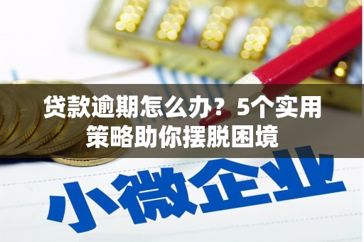 岳麓贷款逾期怎么办？5个实用策略助你摆脱困境