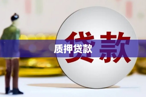 岳麓质押贷款