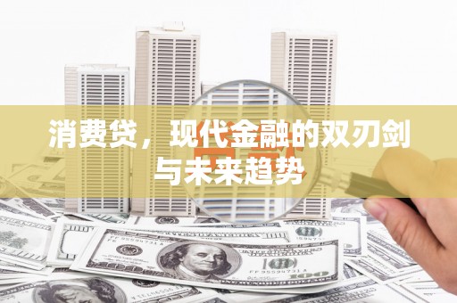 岳麓消费贷，现代金融的双刃剑与未来趋势