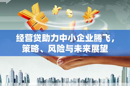 岳麓经营贷助力中小企业腾飞，策略、风险与未来展望
