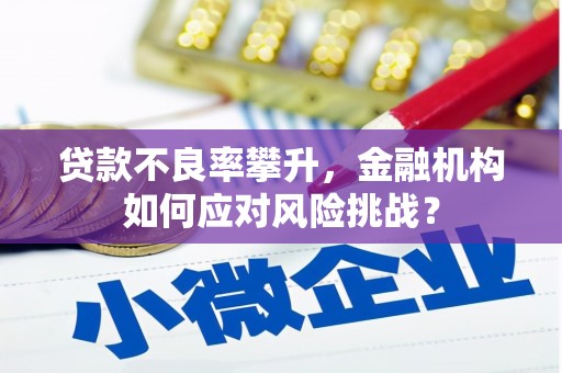 岳麓贷款不良率攀升，金融机构如何应对风险挑战？