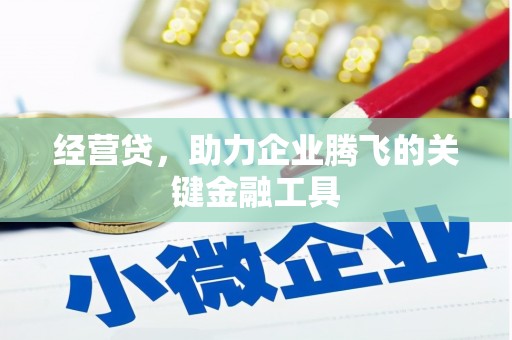 岳麓经营贷，助力企业腾飞的关键金融工具