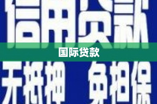 岳麓国际贷款