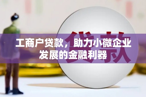 岳麓工商户贷款，助力小微企业发展的金融利器