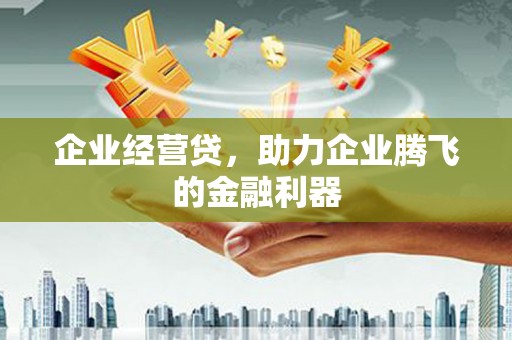 岳麓企业经营贷，助力企业腾飞的金融利器