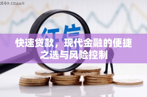 岳麓快速贷款，现代金融的便捷之选与风险控制