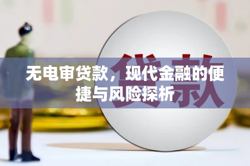 岳麓无电审贷款，现代金融的便捷与风险探析