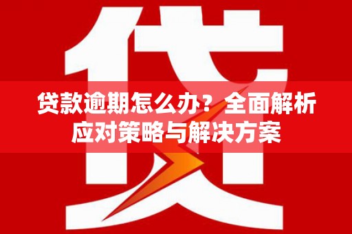 岳麓贷款逾期怎么办？全面解析应对策略与解决方案