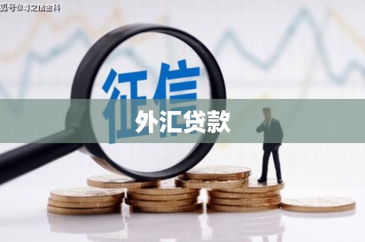 岳麓外汇贷款