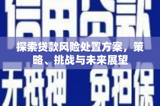 岳麓探索贷款风险处置方案，策略、挑战与未来展望