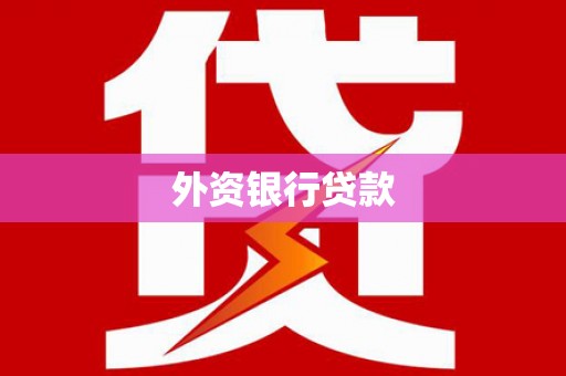 岳麓外资银行贷款