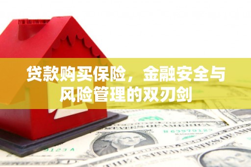 岳麓贷款购买保险，金融安全与风险管理的双刃剑