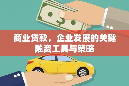 岳麓商业贷款，企业发展的关键融资工具与策略