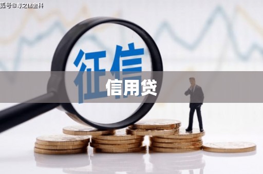 岳麓信用贷