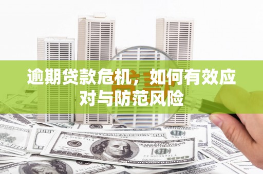 岳麓逾期贷款危机，如何有效应对与防范风险
