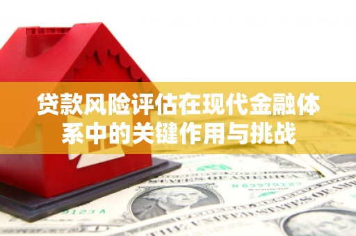 岳麓贷款风险评估在现代金融体系中的关键作用与挑战