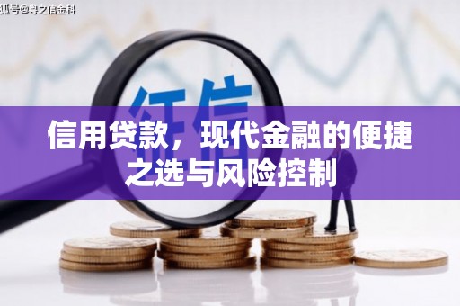 岳麓信用贷款，现代金融的便捷之选与风险控制