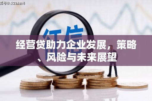 岳麓经营贷助力企业发展，策略、风险与未来展望