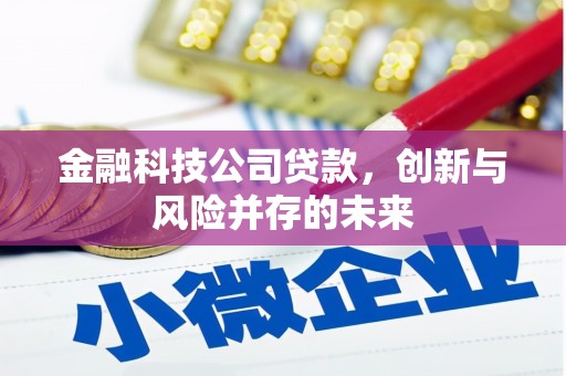 岳麓金融科技公司贷款，创新与风险并存的未来