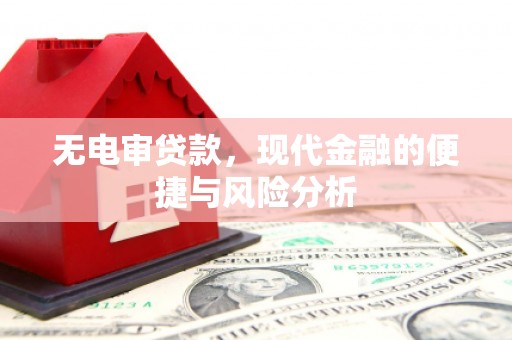 岳麓无电审贷款，现代金融的便捷与风险分析