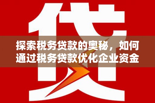 岳麓探索税务贷款的奥秘，如何通过税务贷款优化企业资金流