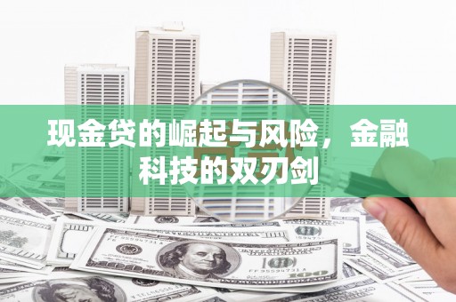 岳麓现金贷的崛起与风险，金融科技的双刃剑