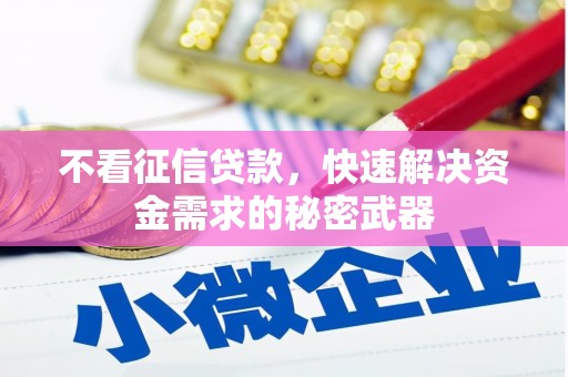 岳麓不看征信贷款，快速解决资金需求的秘密武器
