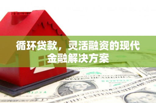 岳麓循环贷款，灵活融资的现代金融解决方案