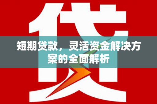 岳麓短期贷款，灵活资金解决方案的全面解析