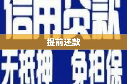 岳麓提前还款