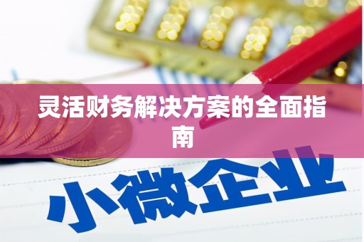 岳麓灵活财务解决方案的全面指南