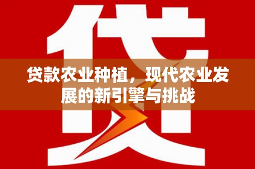 岳麓贷款农业种植，现代农业发展的新引擎与挑战