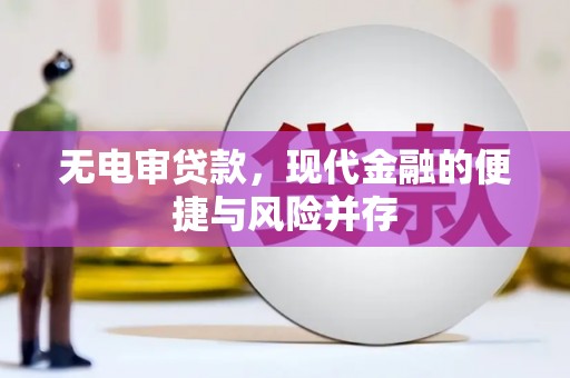 岳麓无电审贷款，现代金融的便捷与风险并存
