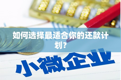 岳麓如何选择最适合你的还款计划？
