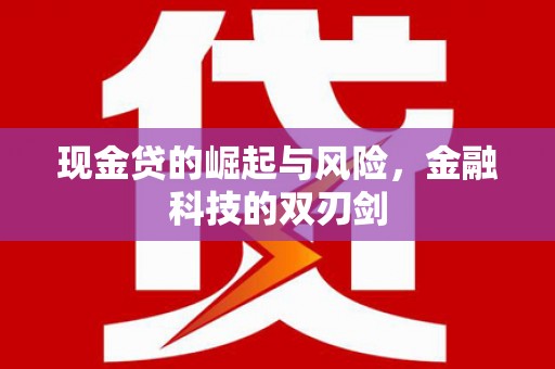 岳麓现金贷的崛起与风险，金融科技的双刃剑