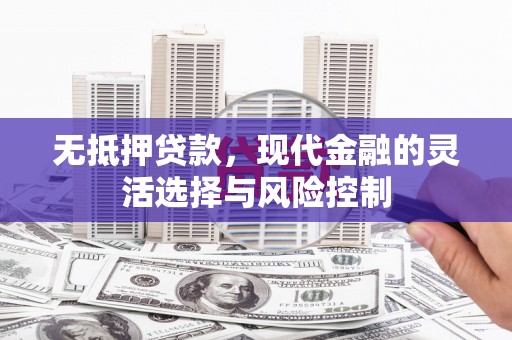 岳麓无抵押贷款，现代金融的灵活选择与风险控制