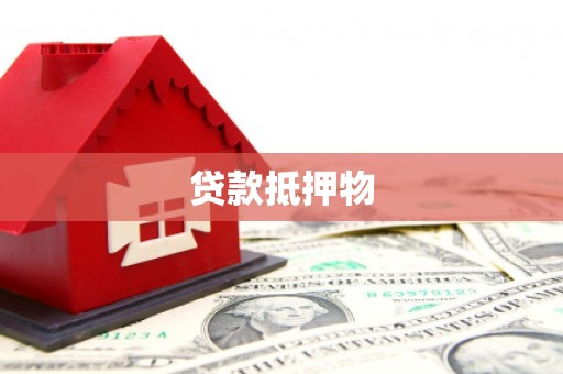 岳麓贷款抵押物