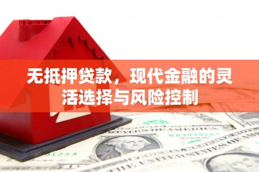 岳麓无抵押贷款，现代金融的灵活选择与风险控制