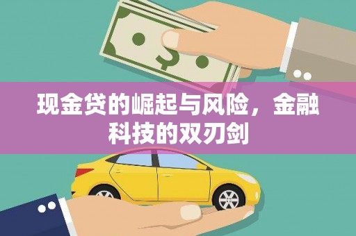 岳麓现金贷的崛起与风险，金融科技的双刃剑