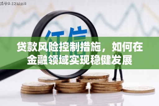 岳麓贷款风险控制措施，如何在金融领域实现稳健发展
