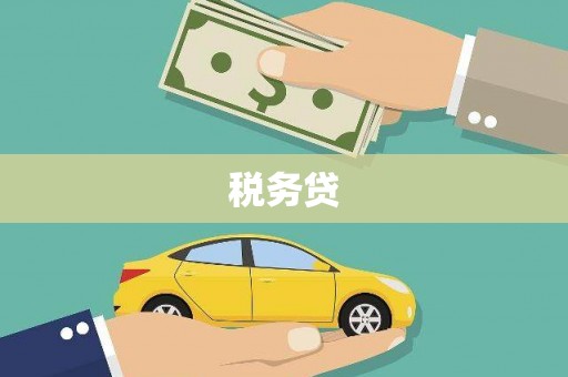 岳麓税务贷